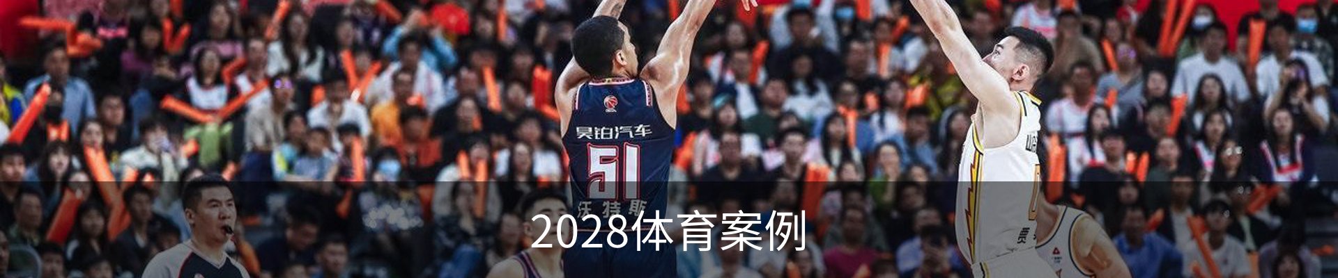 2028体育案例